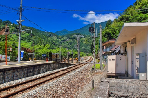 オリジナルプラン