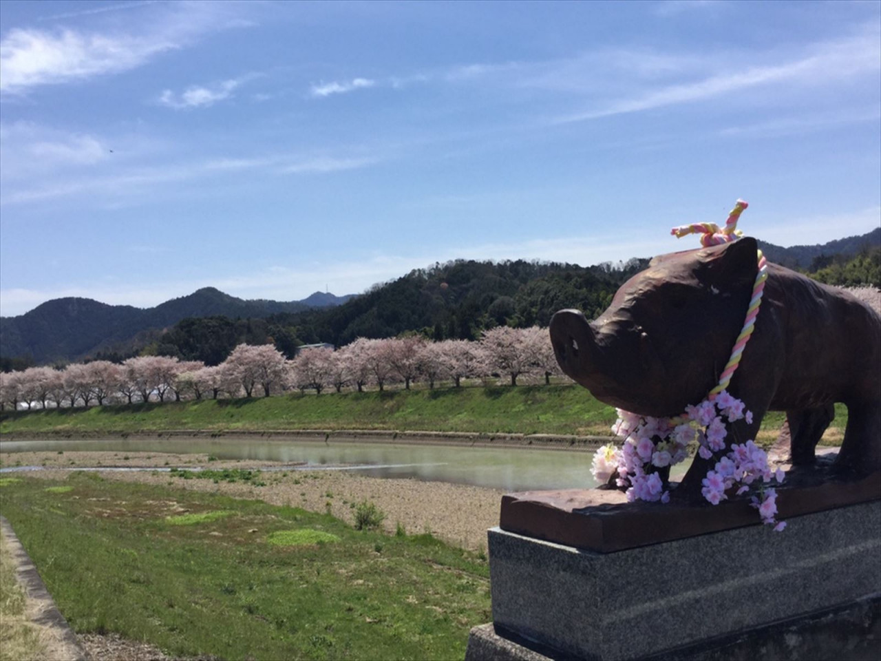 有限会社夢ツアーズ