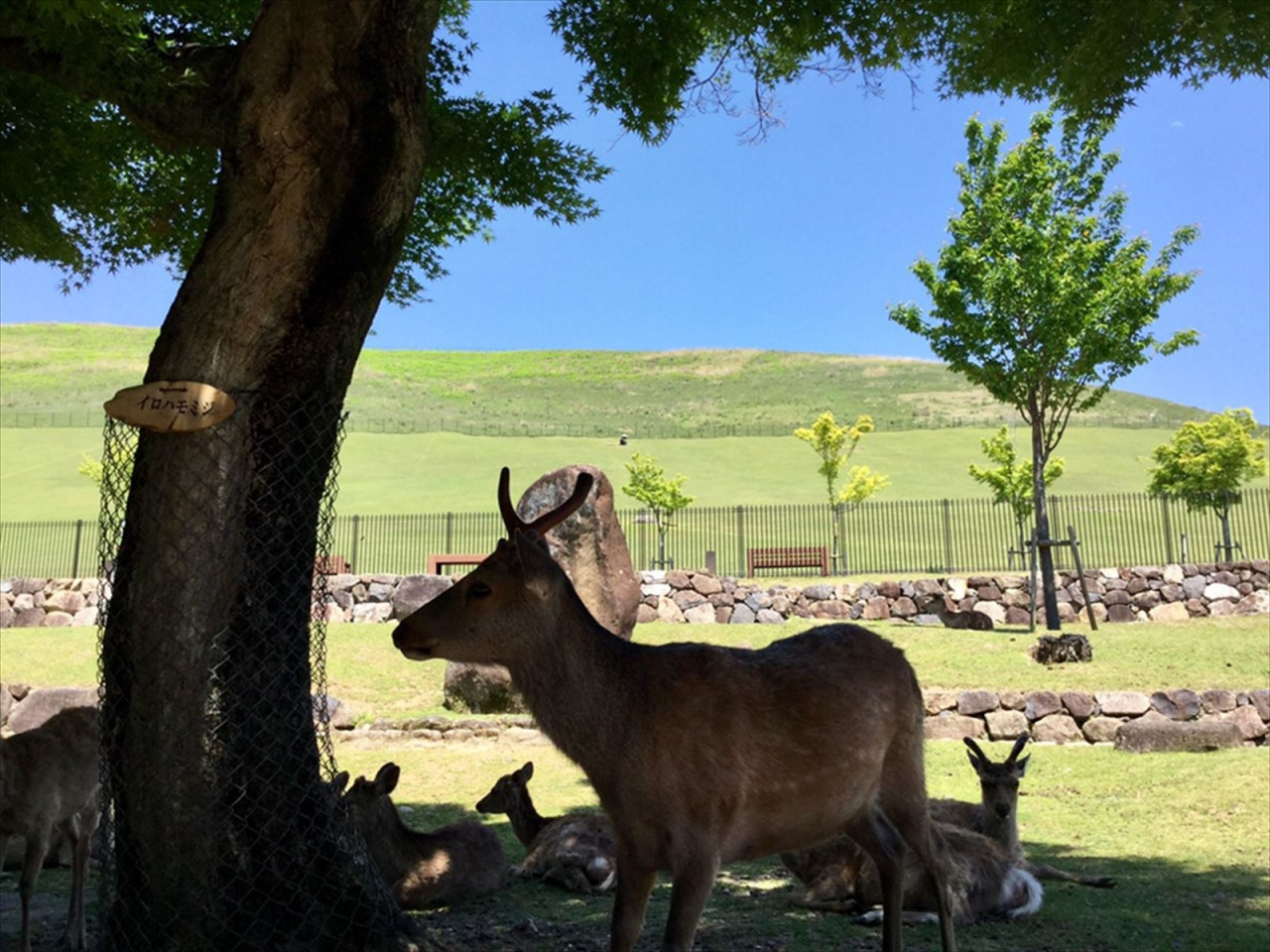 有限会社夢ツアーズ